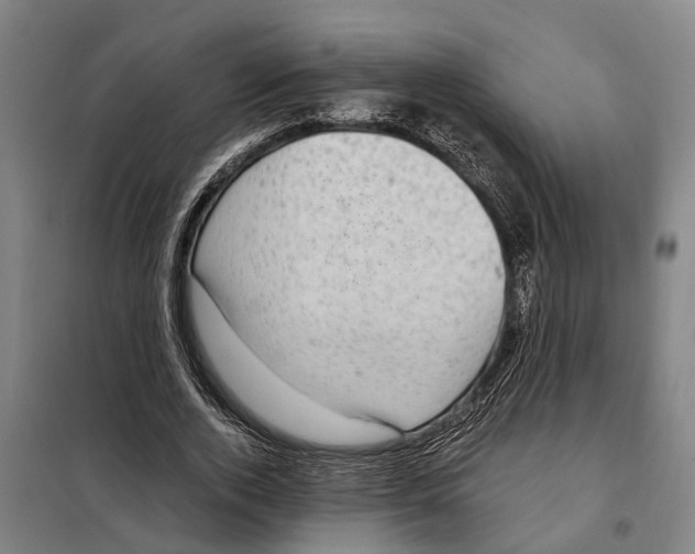 X0000098000728200804211130
