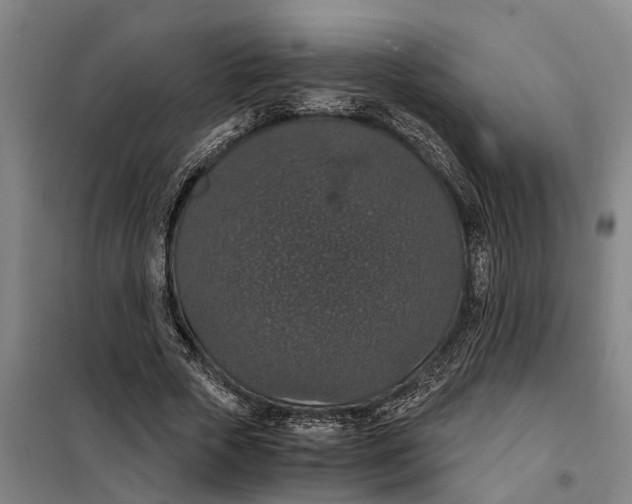 X0000098000729200804211130