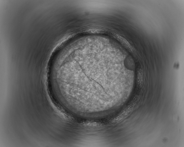 X0000098000730200804211130
