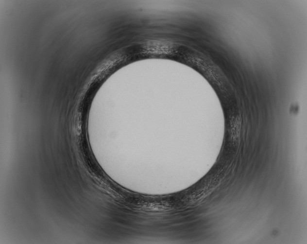 X0000098000731200804211130