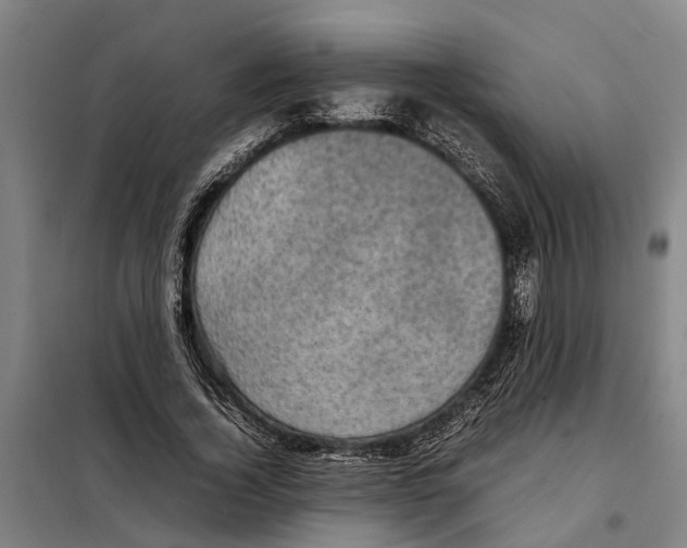 X0000098000732200804211130