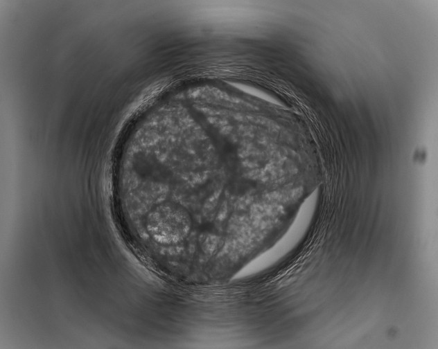 X0000098000734200804211130