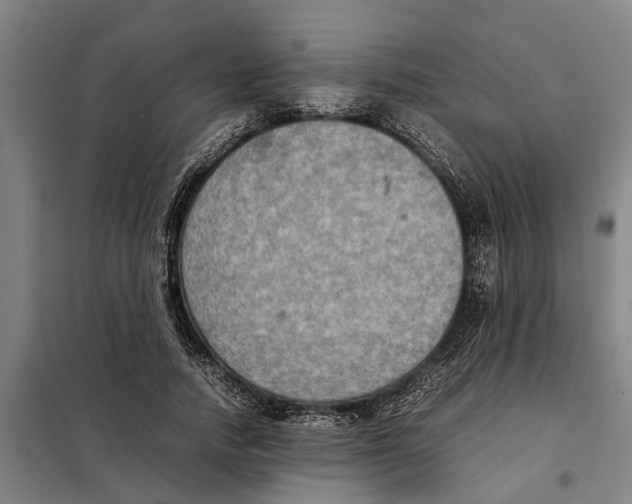X0000098000738200804211131