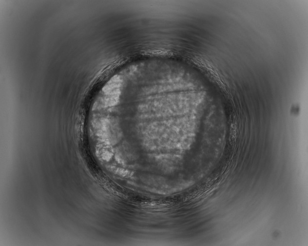 X0000098000739200804211131