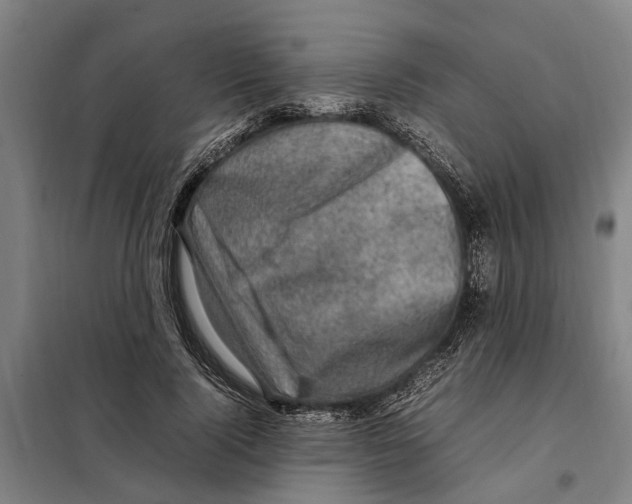 X0000098000740200804211131