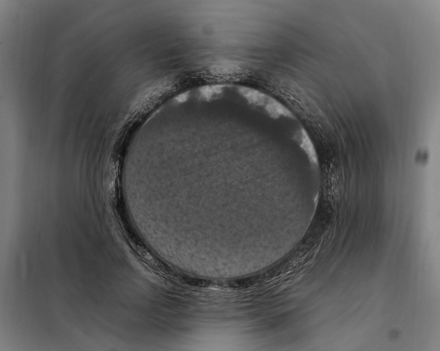 X0000098000742200804211131