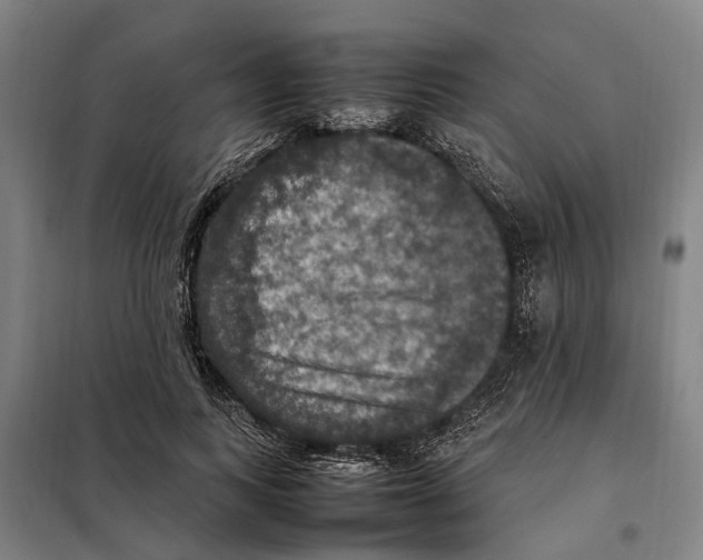X0000098000743200804211131