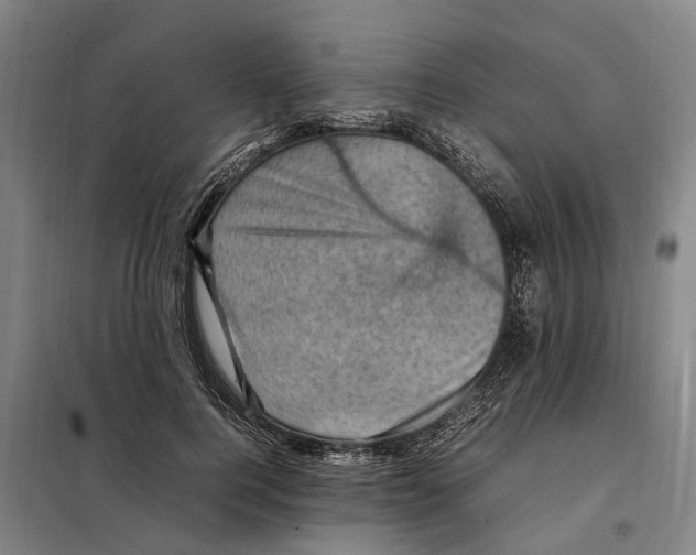 X0000098000744200804211131