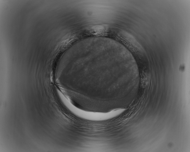 X0000098000748200804211131