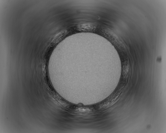 X0000098000749200804211131