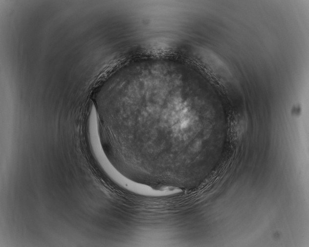 X0000098000750200804211131