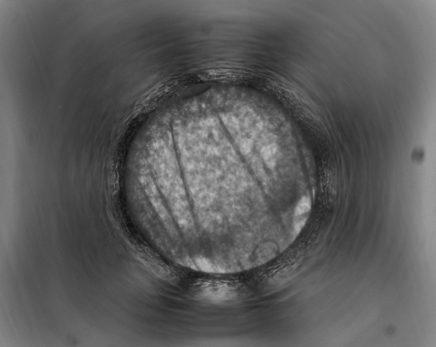 X0000098000751200804211131