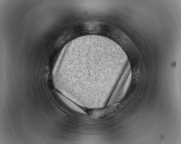 X0000098000752200804211131