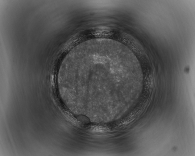 X0000098000755200804211131