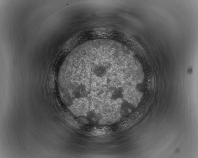 X0000098000757200804211131