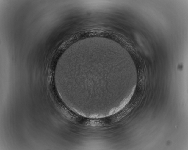 X0000098000758200804211131