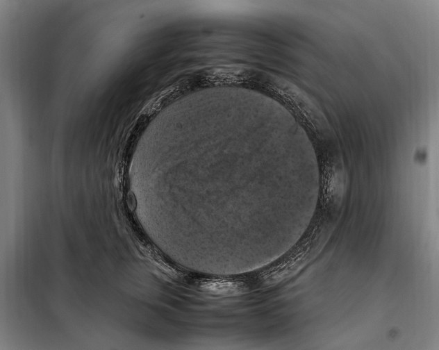 X0000098000759200804211131