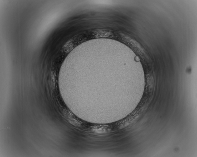 X0000098000761200804211131