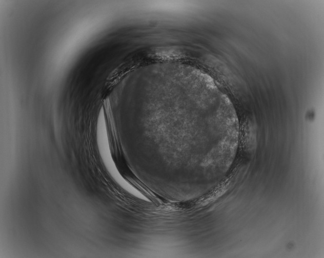 X0000098000762200804211131