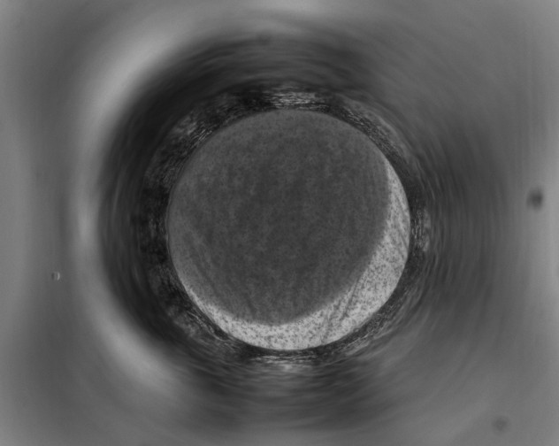 X0000098000763200804211131