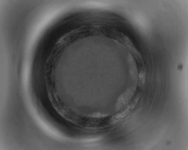 X0000098000765200804211131