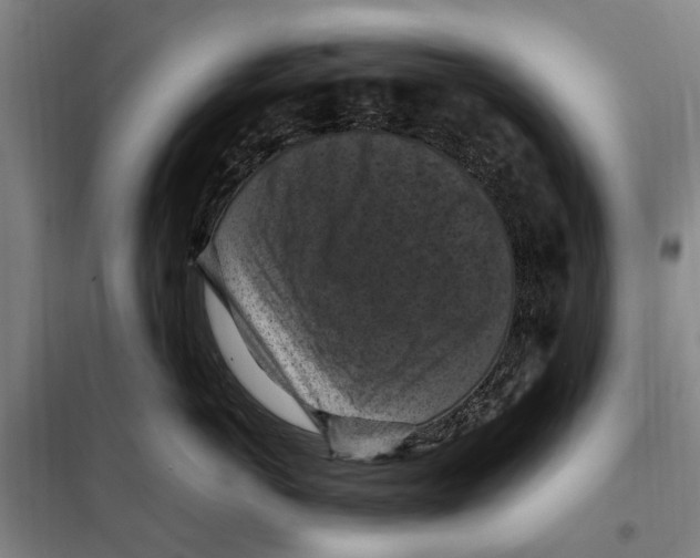 X0000098000766200804211131