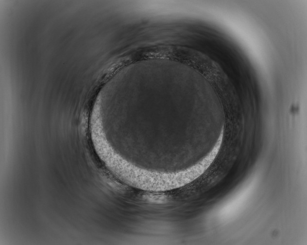 X0000098000767200804211131