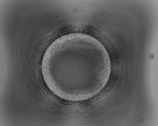 X0000098000769200804211130
