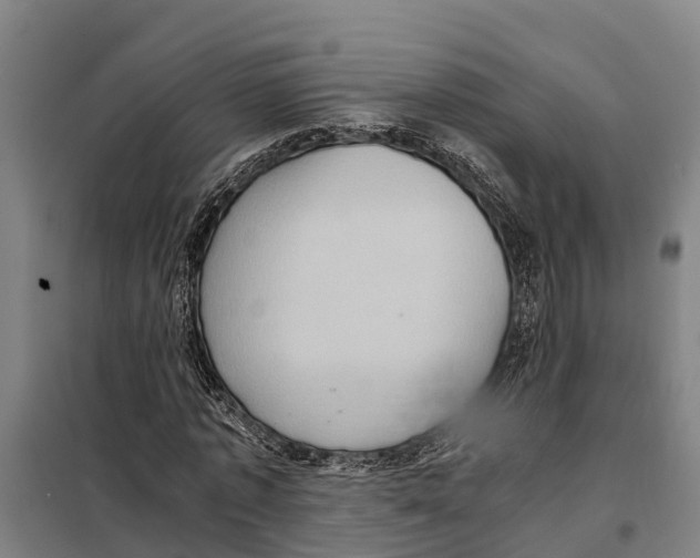 X0000098000773200804211130