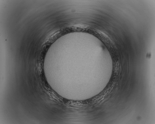 X0000098000774200804211130