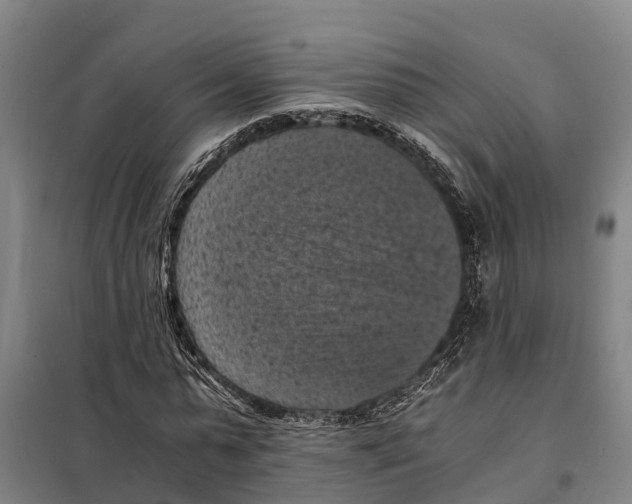 X0000098000775200804211130