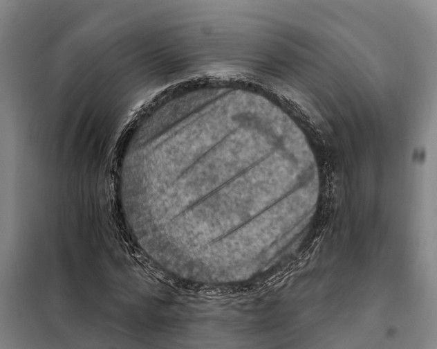 X0000098000776200804211130