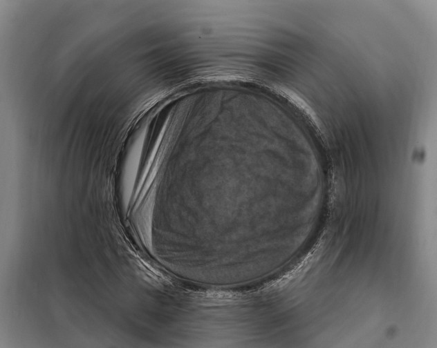 X0000098000777200804211130