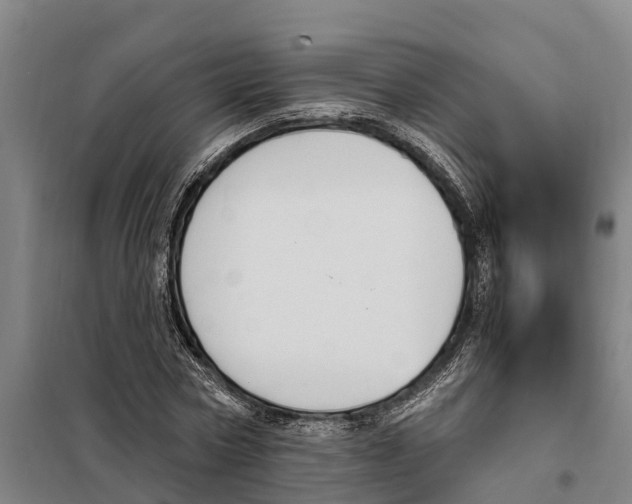 X0000098000778200804211130