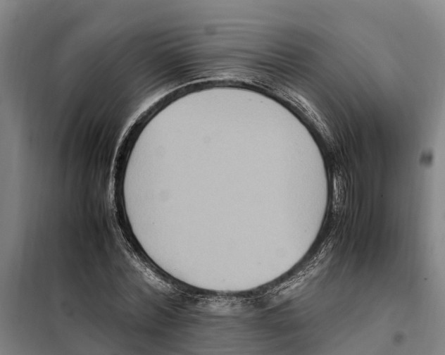 X0000098000780200804211130