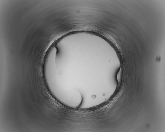 X0000098000781200804211130