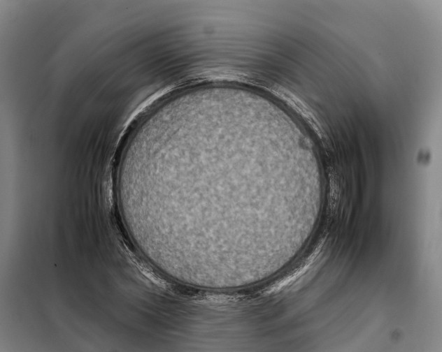 X0000098000782200804211130