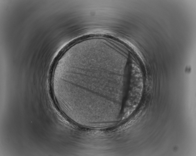 X0000098000783200804211130