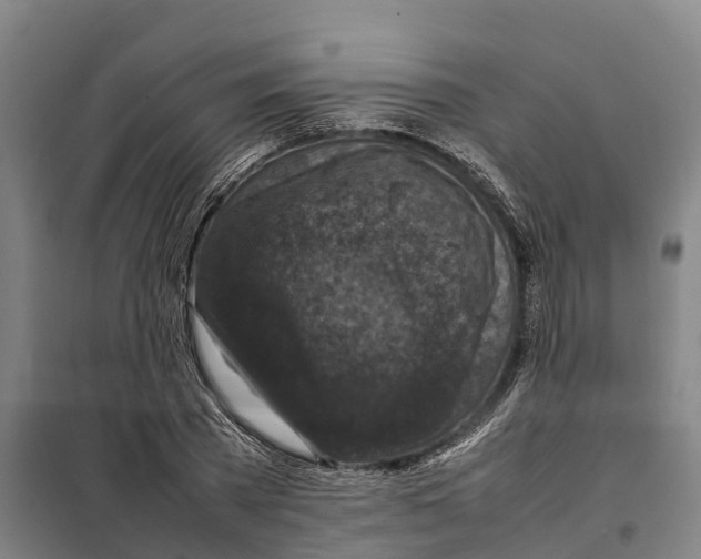 X0000098000785200804211130