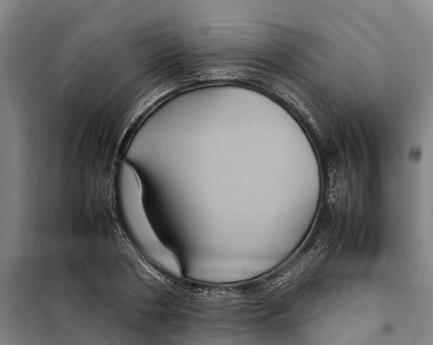 X0000098000786200804211130