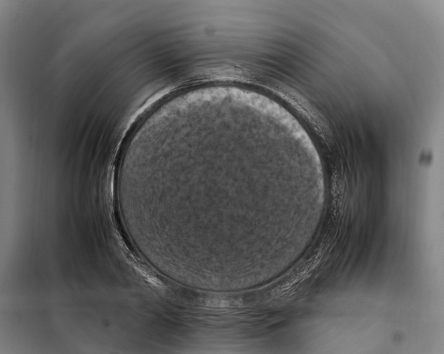 X0000098000790200804211130