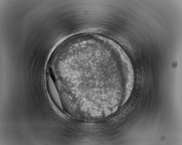X0000098000792200804211130