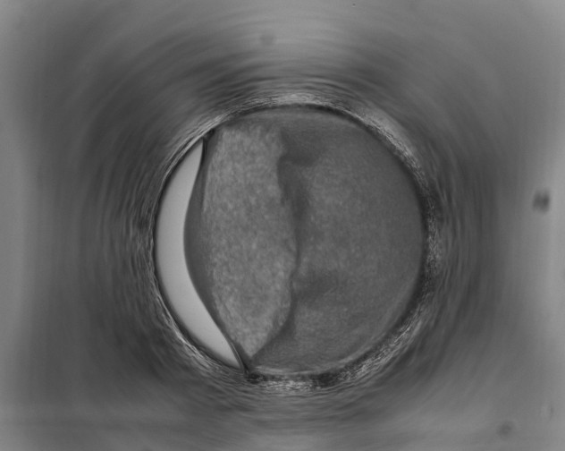 X0000098000793200804211130