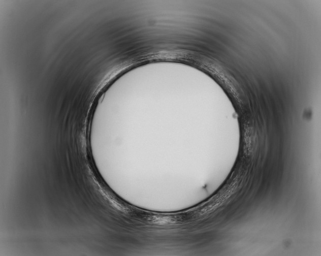 X0000098000794200804211130