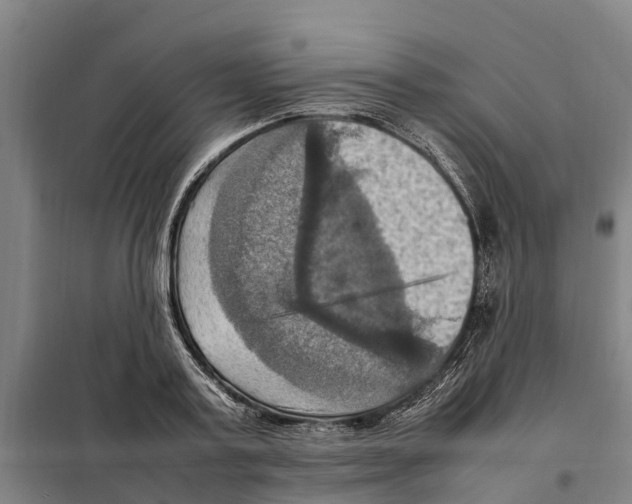 X0000098000795200804211130