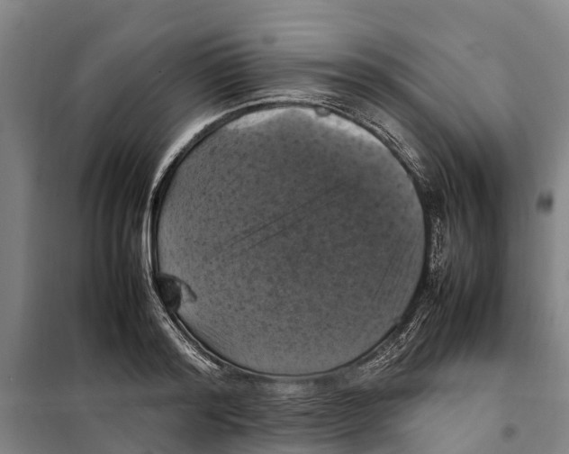 X0000098000796200804211130