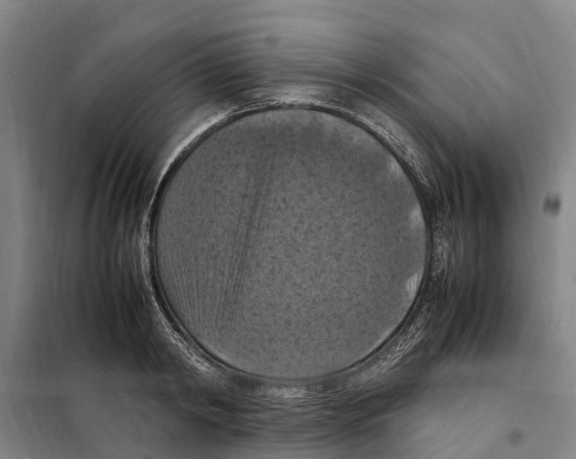 X0000098000798200804211130