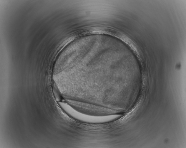 X0000098000801200804211129