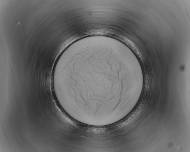 X0000098000802200804211129
