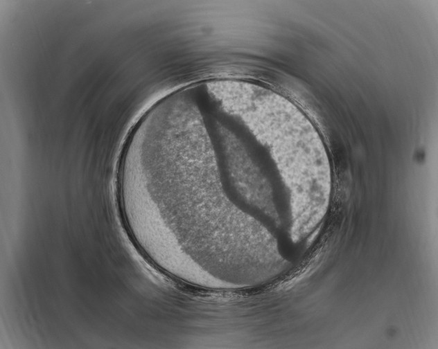X0000098000803200804211129